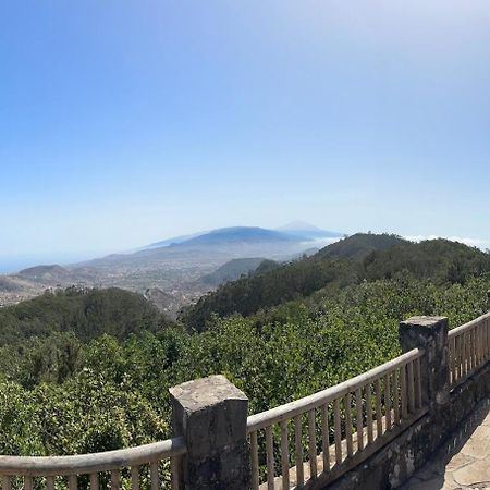 Los Cactus Santa Cruz de Tenerife Eksteriør billede